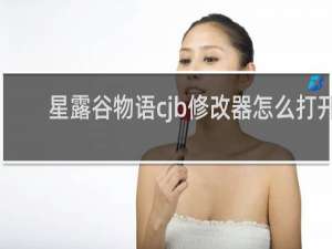 星露谷物语cjb修改器怎么打开