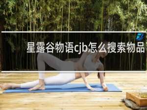 星露谷物语cjb怎么搜索物品