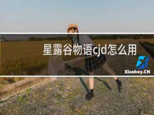 星露谷物语cjd怎么用