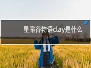 星露谷物语clay是什么