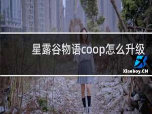 星露谷物语coop怎么升级