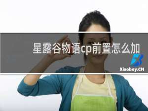 星露谷物语cp前置怎么加