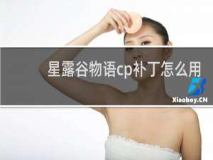 星露谷物语cp补丁怎么用