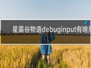 星露谷物语debuginput有啥用