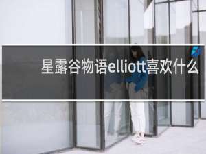 星露谷物语elliott喜欢什么