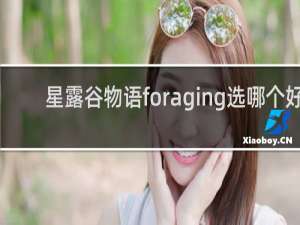 星露谷物语foraging选哪个好