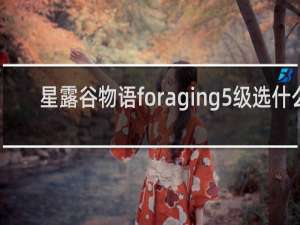 星露谷物语foraging5级选什么