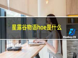 星露谷物语hoe是什么