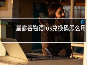 星露谷物语ios兑换码怎么用