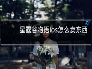 星露谷物语ios怎么卖东西