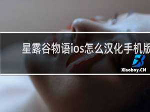 星露谷物语ios怎么汉化手机版