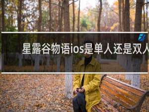 星露谷物语ios是单人还是双人