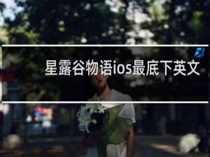 星露谷物语ios最底下英文