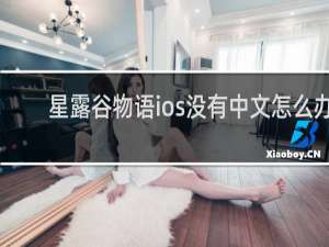 星露谷物语ios没有中文怎么办