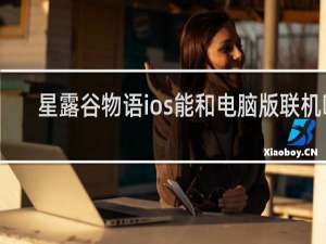 星露谷物语ios能和电脑版联机吗