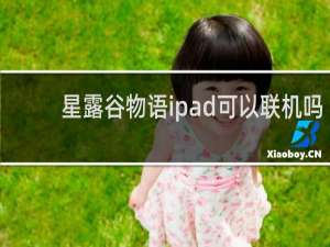 星露谷物语ipad可以联机吗
