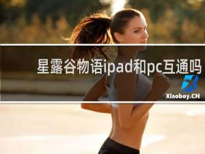 星露谷物语ipad和pc互通吗