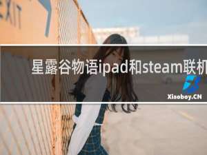 星露谷物语ipad和steam联机