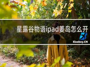 星露谷物语ipad姜岛怎么开