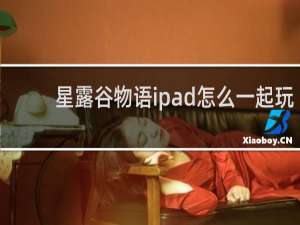 星露谷物语ipad怎么一起玩