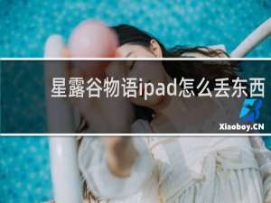 星露谷物语ipad怎么丢东西