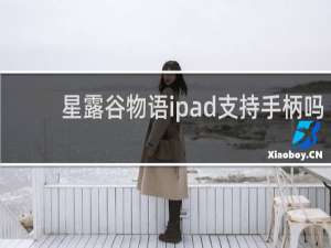 星露谷物语ipad支持手柄吗