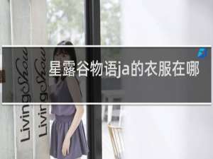 星露谷物语ja的衣服在哪