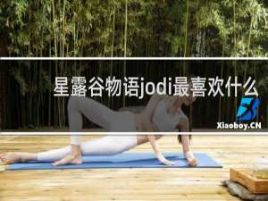 星露谷物语jodi最喜欢什么