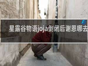 星露谷物语joja倒闭后谢恩哪去了