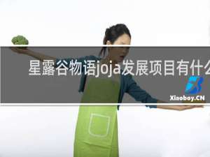 星露谷物语joja发展项目有什么