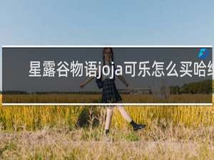 星露谷物语joja可乐怎么买哈维