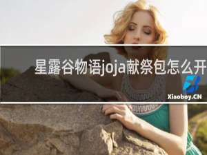 星露谷物语joja献祭包怎么开