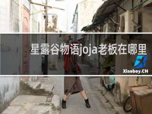 星露谷物语joja老板在哪里