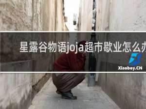 星露谷物语joja超市歇业怎么办