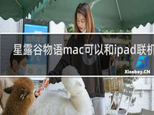 星露谷物语mac可以和ipad联机吗