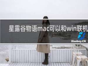 星露谷物语mac可以和win联机吗