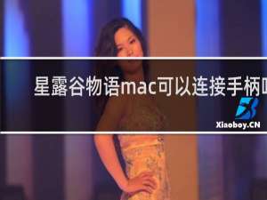 星露谷物语mac可以连接手柄吗