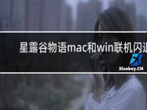 星露谷物语mac和win联机闪退
