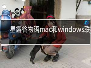 星露谷物语mac和windows联机