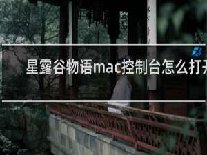 星露谷物语mac控制台怎么打开
