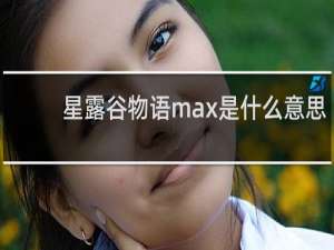星露谷物语max是什么意思