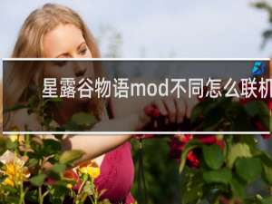 星露谷物语mod不同怎么联机