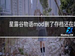 星露谷物语mod删了存档还在吗