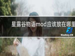 星露谷物语mod应该放在哪里