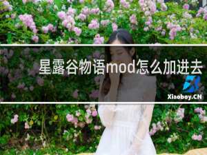 星露谷物语mod怎么加进去