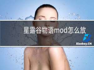 星露谷物语mod怎么放