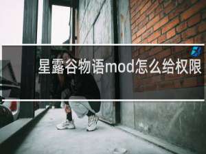 星露谷物语mod怎么给权限