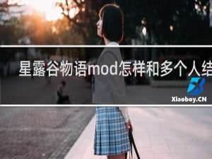 星露谷物语mod怎样和多个人结婚