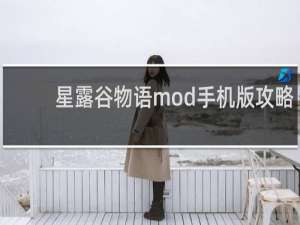 星露谷物语mod手机版攻略