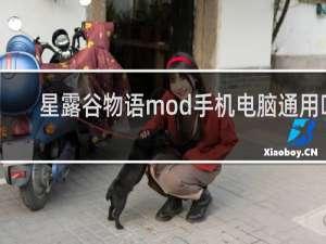 星露谷物语mod手机电脑通用吗